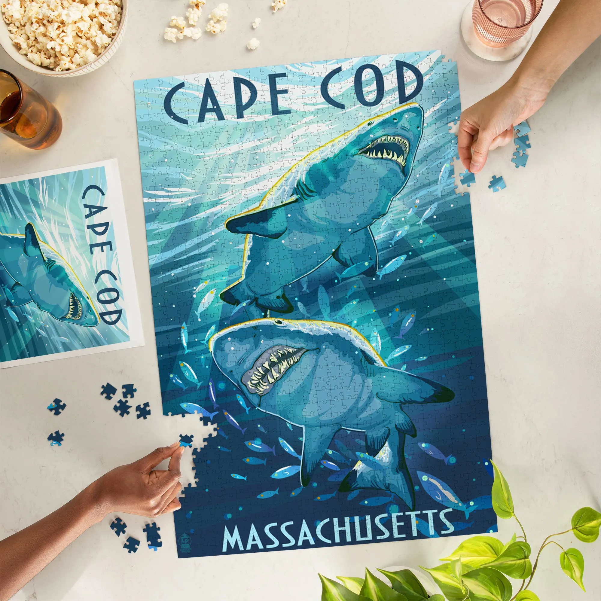 1000 PIECE PUZZLE Cape Cod, Massachusetts Great White Sharks