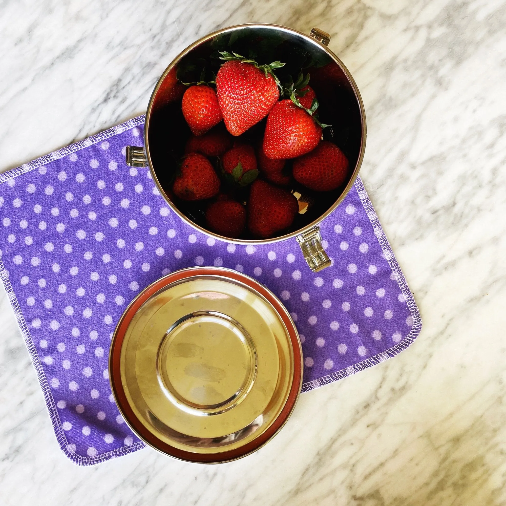 Airtight Food Storage: Stainless Steel