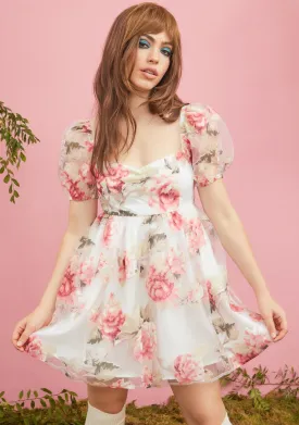 Darling Rose Babydoll Dress