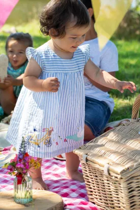 Frugi Birdie Body Dress - Beach Hut Blue Stripe