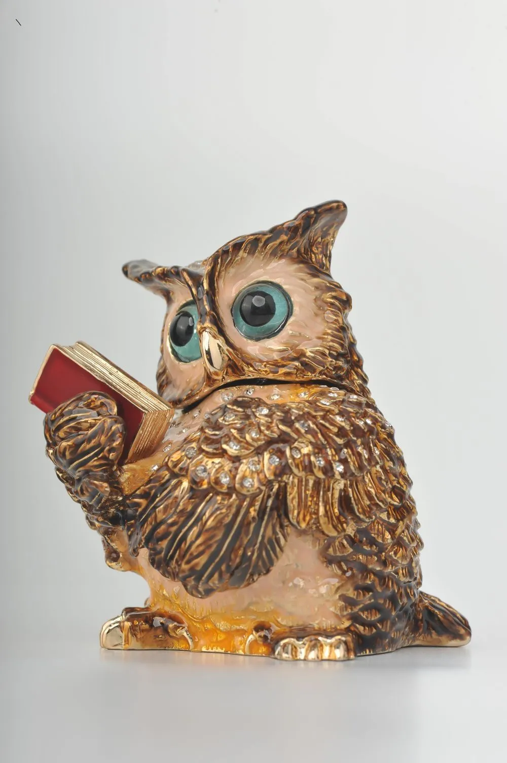 Sophisticated Owl with a Book