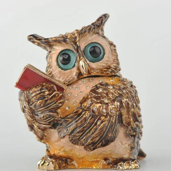 Sophisticated Owl with a Book