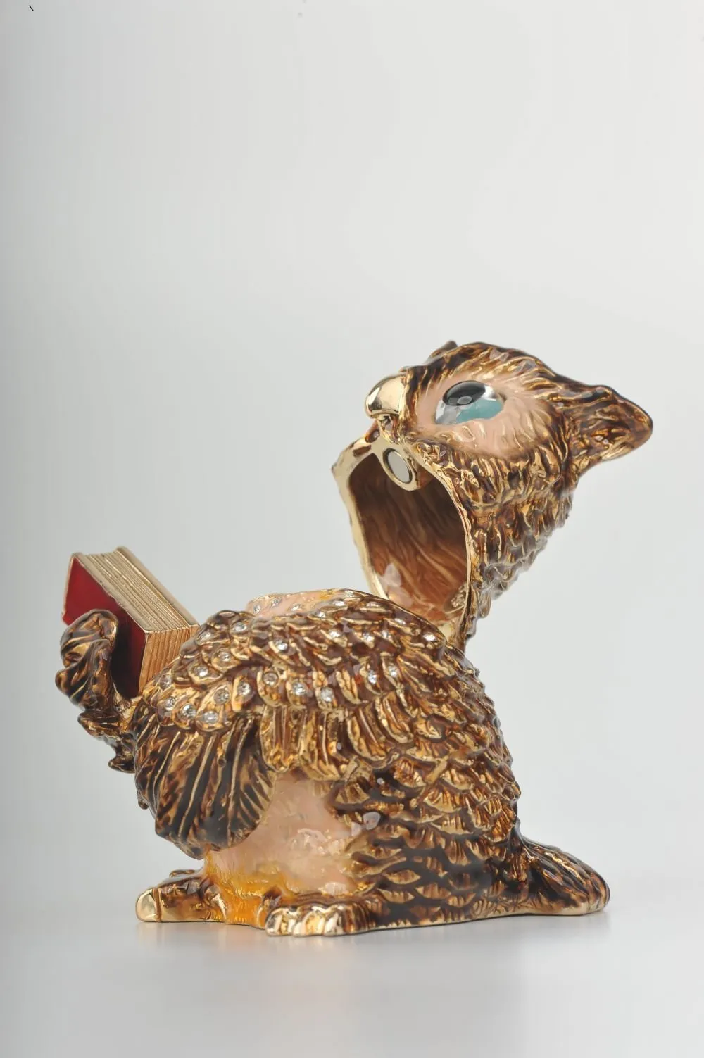 Sophisticated Owl with a Book