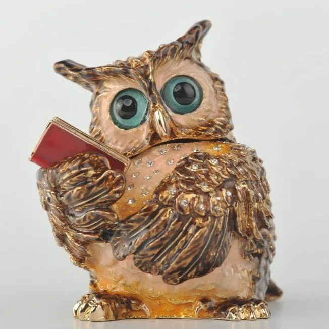 Sophisticated Owl with a Book