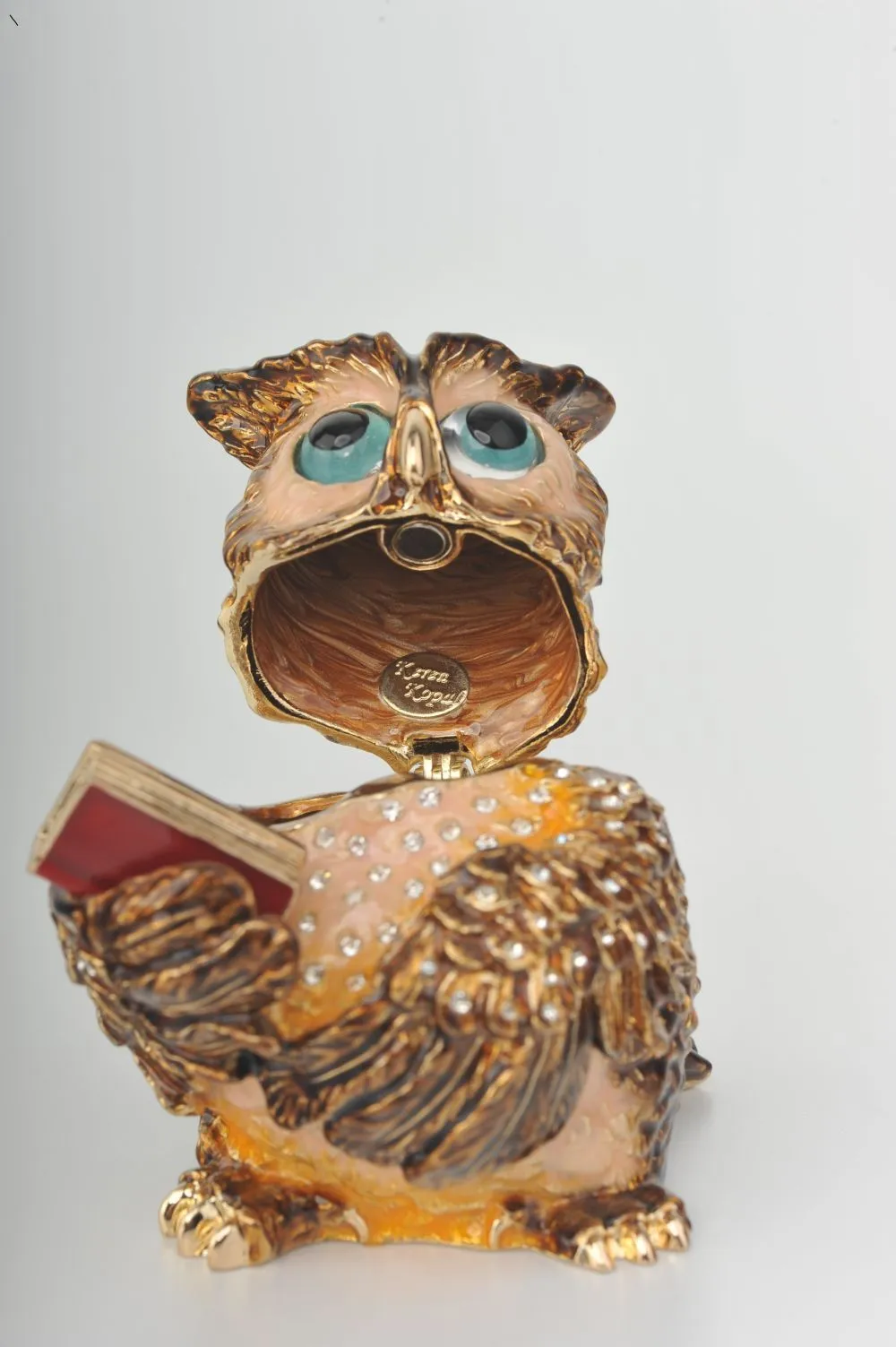 Sophisticated Owl with a Book