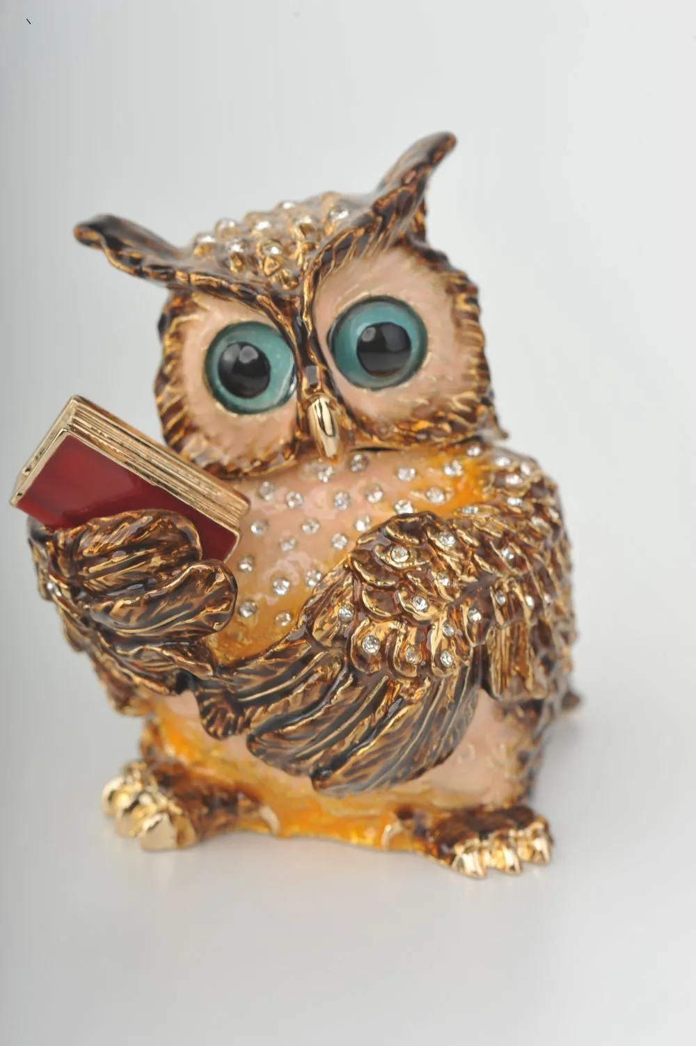 Sophisticated Owl with a Book